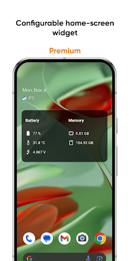 Castro Premium - sistem məlumatı